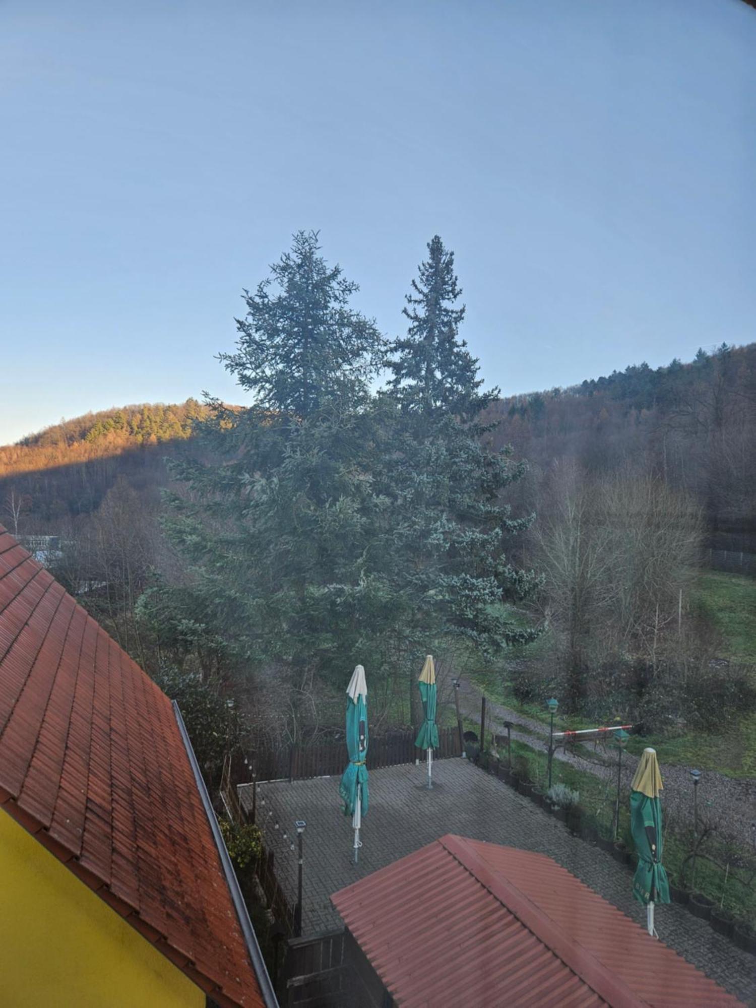 Naturfreundehaus Annweiler am Trifels Exteriör bild